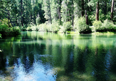 Quiet Sunlit River